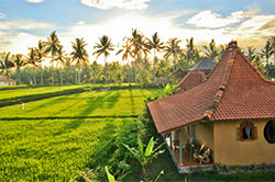 Dragonfly Village, Ubud Bali